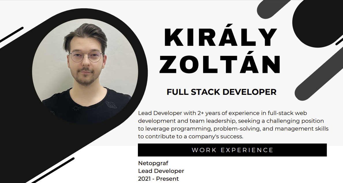 The top of my CV giving a sneak peak into what its design looks like